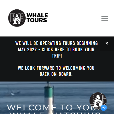 TopPage - https://bcwhalewatchingtours.com/